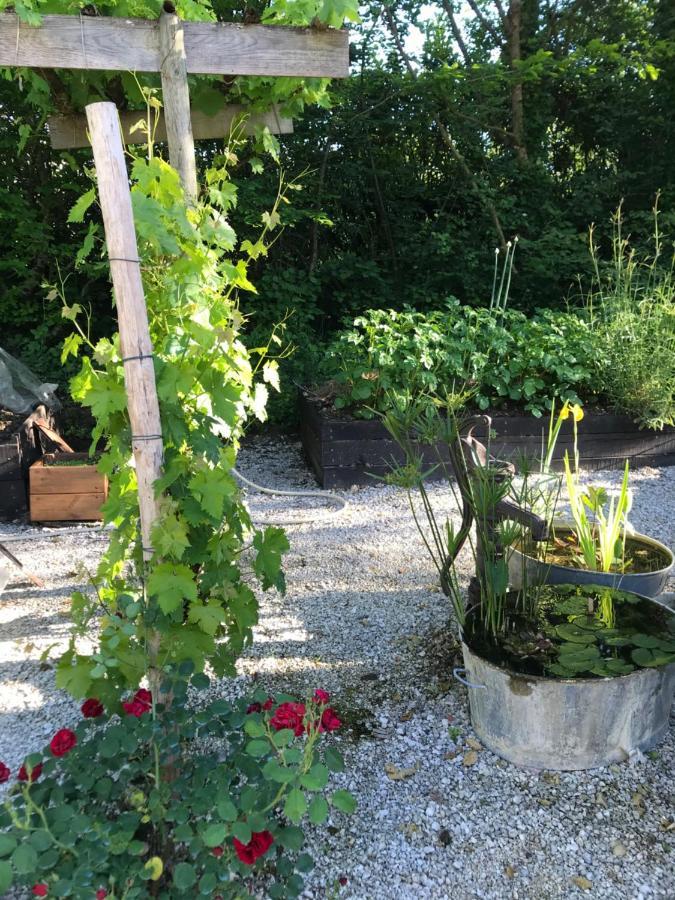 Chambre d'hôtes au calme avec spa Nérac Exterior foto